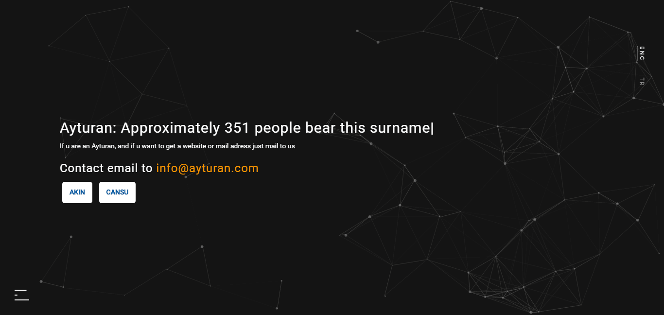 Ayturan website preview