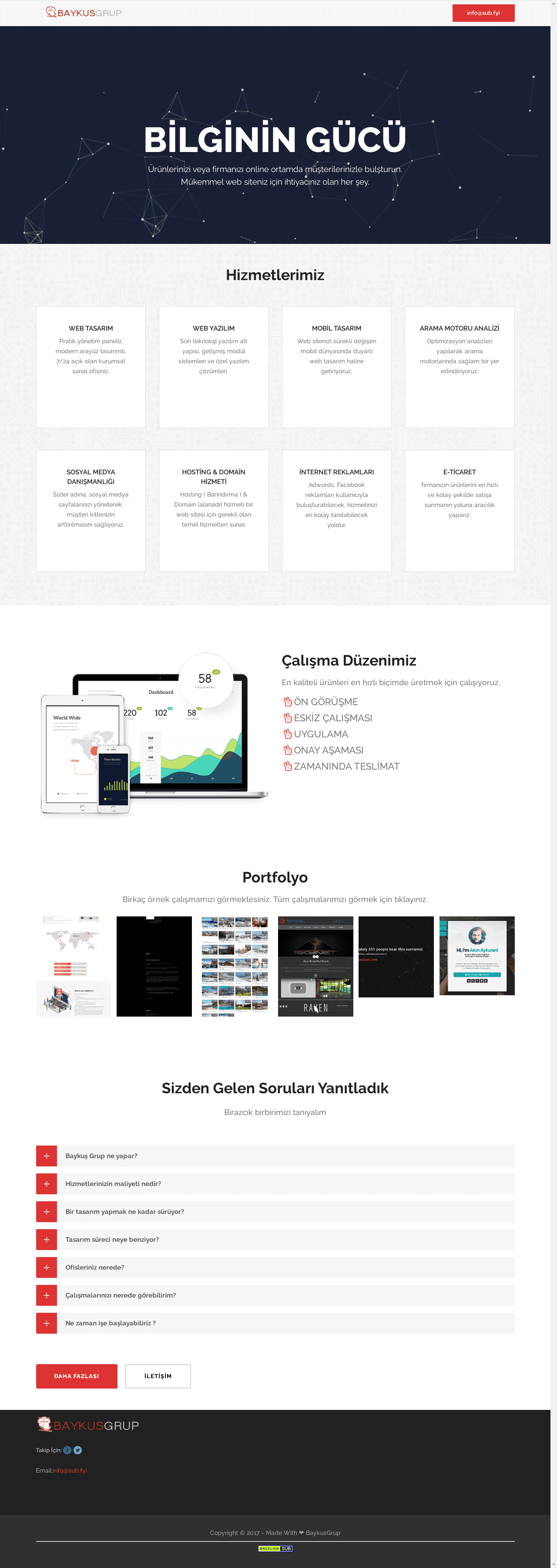 Baykusgrup website preview