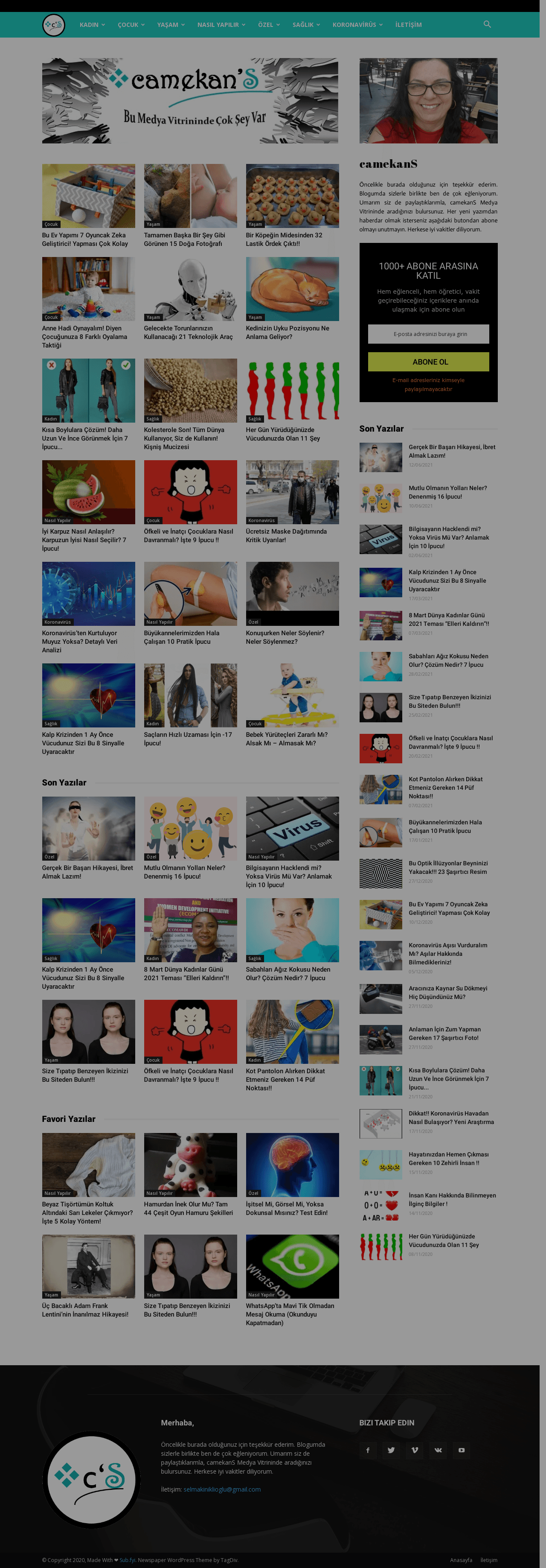 Camekans website preview