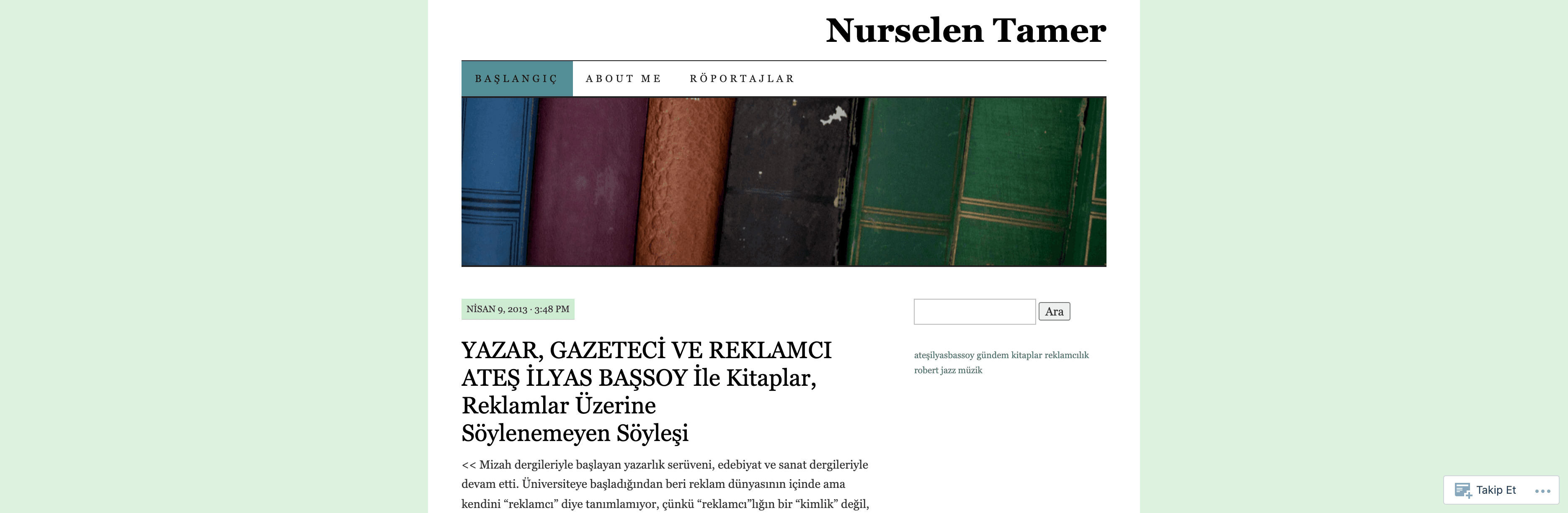 Nurselentamer website preview