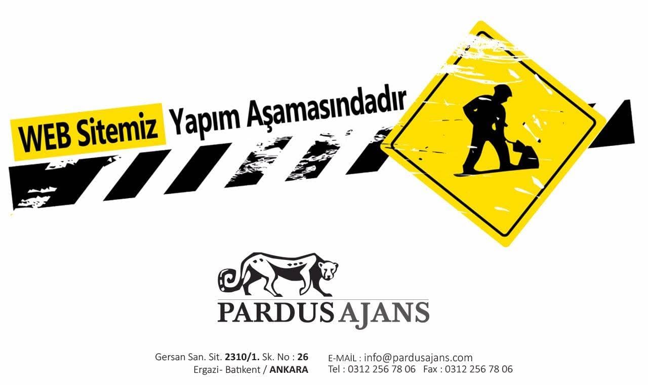 Pardusajans website preview