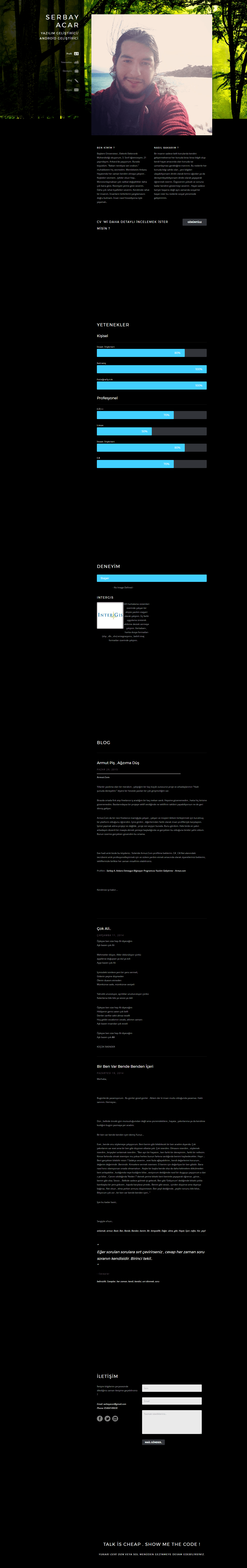 Serbayacar website preview