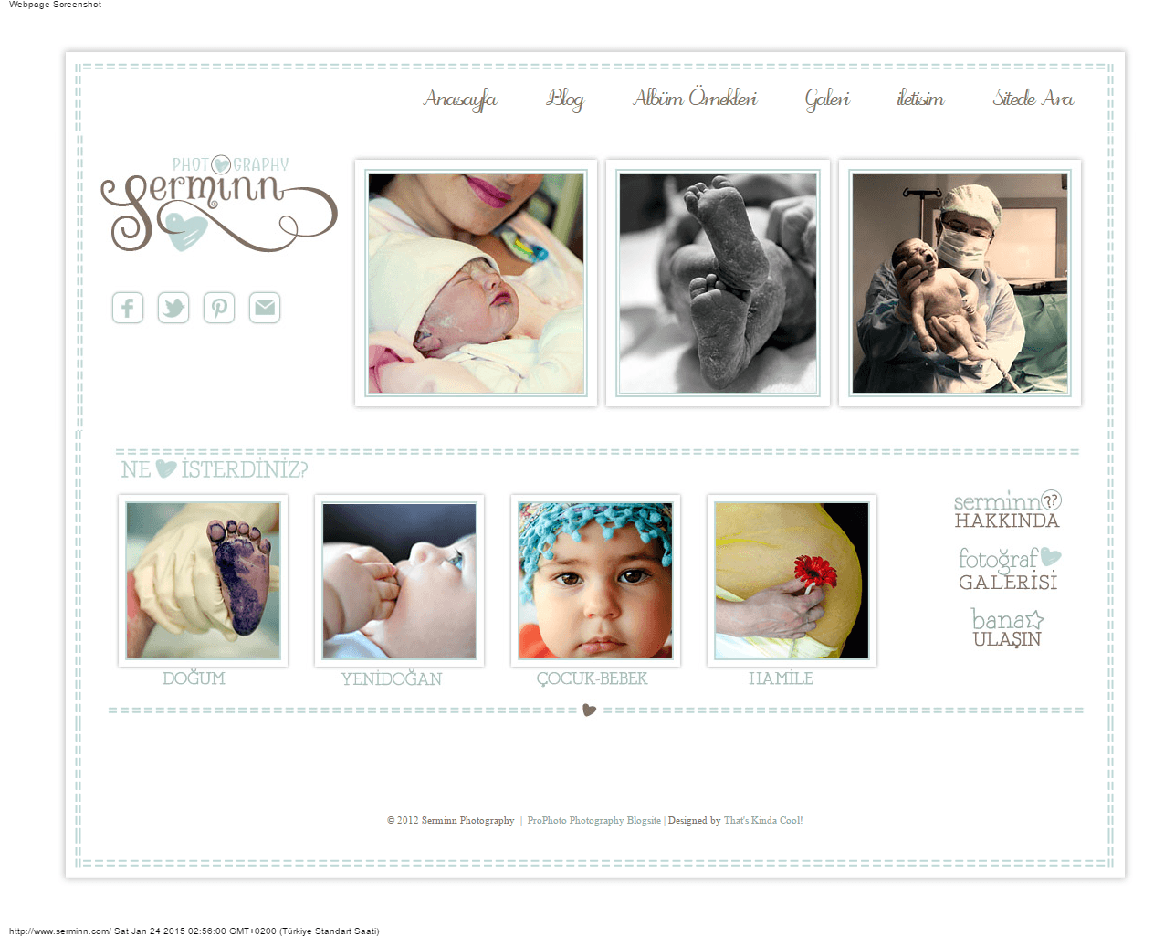 Serminn website preview