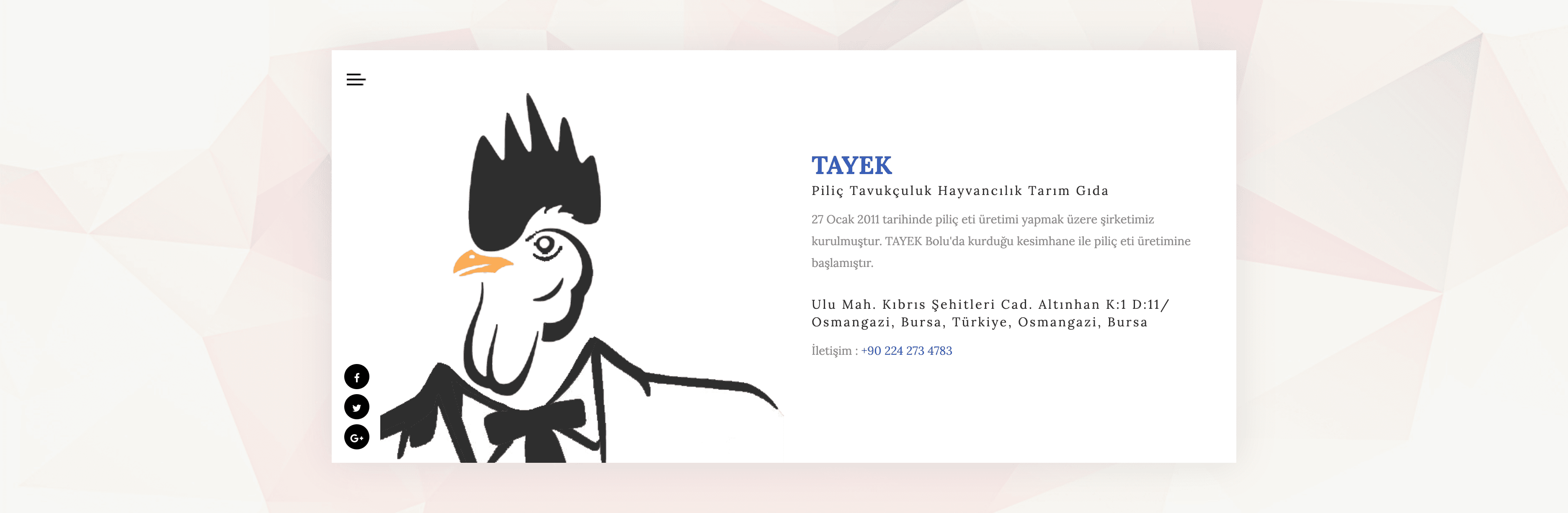 Tayek website preview